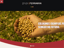 Tablet Screenshot of grupoferrarin.com.br